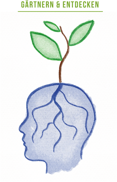 flora_didactica_logo_bild.png