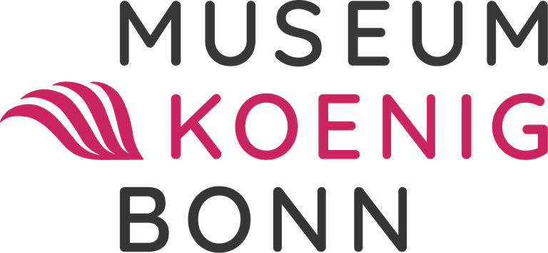 Museum Koenig Logo