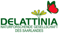Delattinia Logo